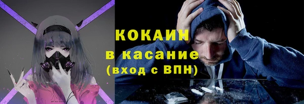 соль ск Арсеньев