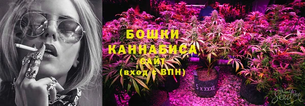 эйфоретик Карпинск