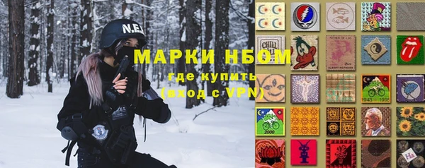 соль ск Арсеньев