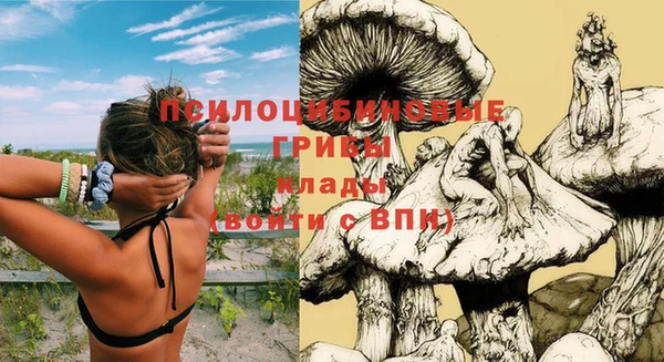 амф Аркадак
