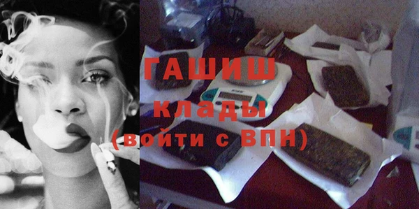 прущие грибы Вязьма