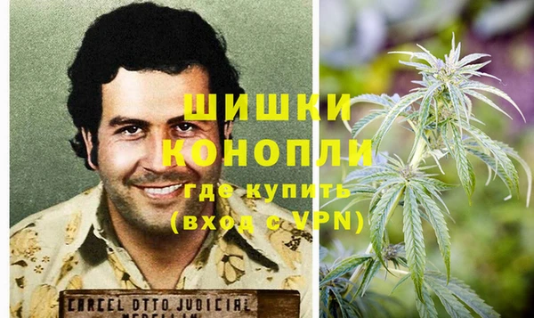 амф Аркадак