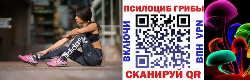 Галлюциногенные грибы Psilocybine cubensis Семёнов